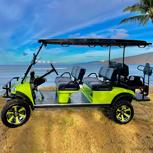 6 Passenger_Golf_Carts